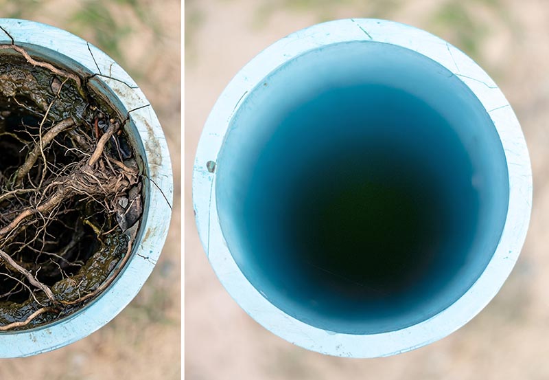 A side-by-side comparison looking inside a blue pipe, showing a heavy tree root blockage on the left versus a clear, completely cleaned pipe interior on the right.
