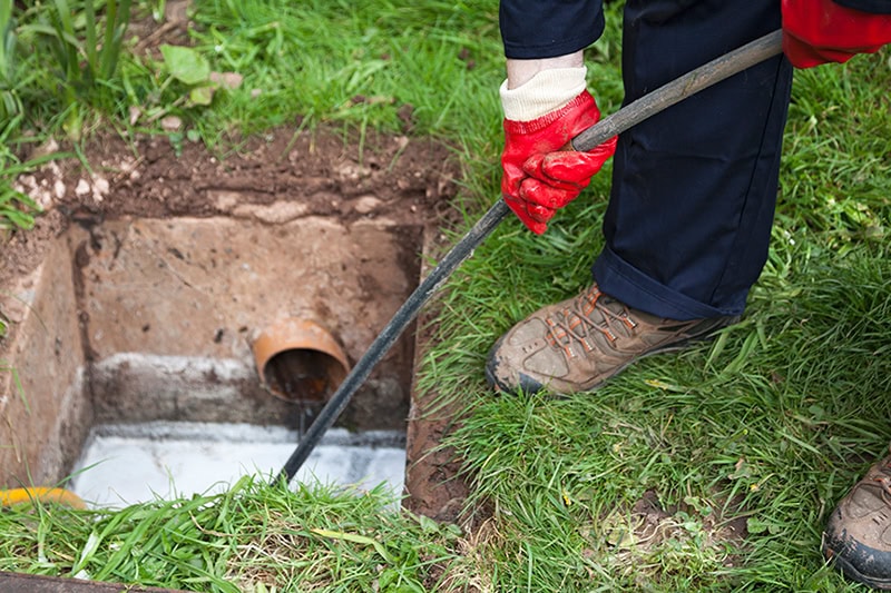 How Tree Roots Can Damage Your Sewer Line and How to Prevent It. A plumber repairing a sewer line.